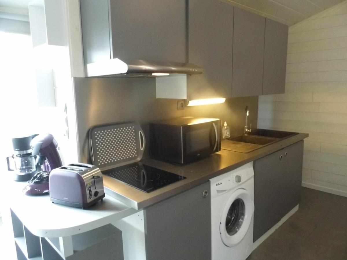 Joli Petit T2 Calme Au Bord De Leau Villa Vieille-Brioude Exteriör bild