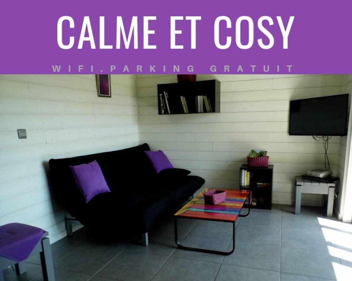 Joli Petit T2 Calme Au Bord De Leau Villa Vieille-Brioude Exteriör bild