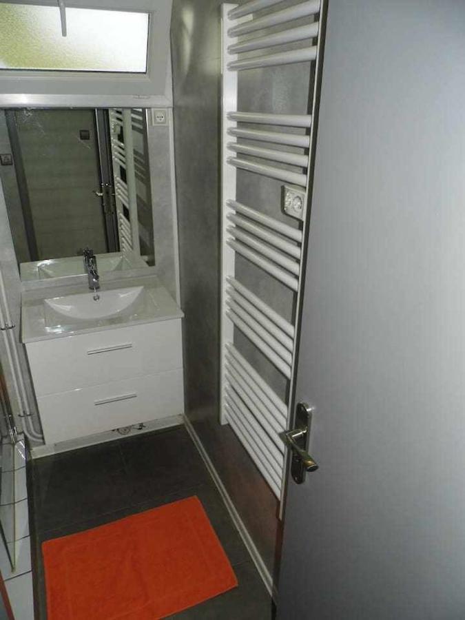 Joli Petit T2 Calme Au Bord De Leau Villa Vieille-Brioude Exteriör bild