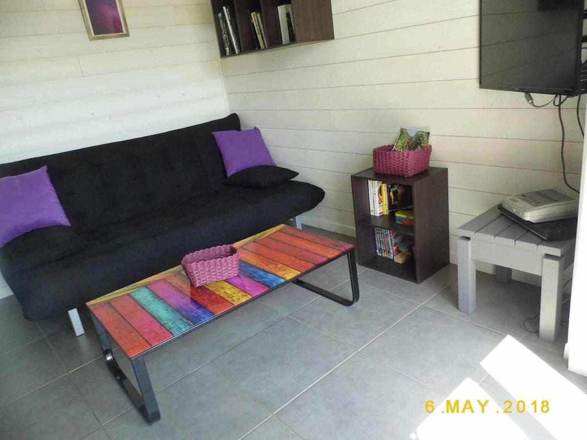 Joli Petit T2 Calme Au Bord De Leau Villa Vieille-Brioude Exteriör bild